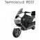 Termoscud Peugeot Elyseo y Elystar