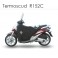 Termoscud Peugeot Geopolis